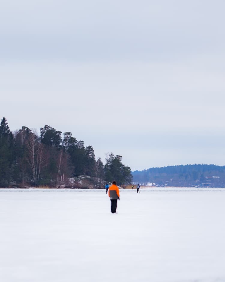 Frozen Lake Hasselby