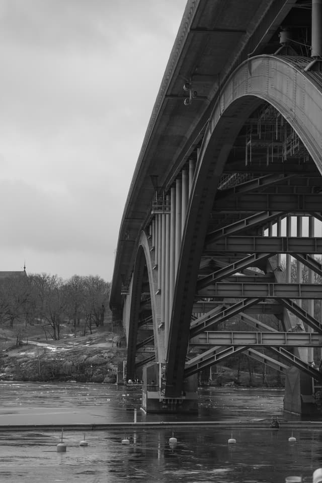 Root of Vesterbron Stockholm